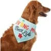 Frisco Living My Best Life Dog & Cat Bandana 2 Frisco Living My Best Life Dog & Cat Bandana -Frisco 312288 MAIN. AC SS1800 V1644881351