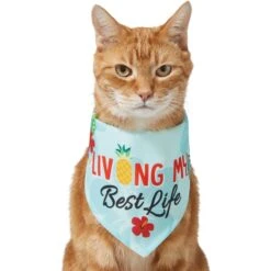 Frisco Living My Best Life Dog & Cat Bandana 11 Frisco Living My Best Life Dog & Cat Bandana -Frisco 312288 PT2. AC SS1800 V1644884916