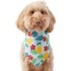 Frisco Hawaiian Pineapple Dog & Cat Bandana -Frisco 312300 MAIN. AC SS1800 V1644885441