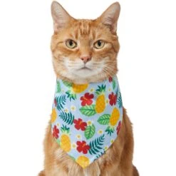 Frisco Hawaiian Pineapple Dog & Cat Bandana 11 Frisco Hawaiian Pineapple Dog & Cat Bandana -Frisco 312300 PT2. AC SS1800 V1644878643