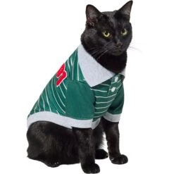 Frisco Green Rugby Dog & Cat Polo Shirt 13 Frisco Green Rugby Dog & Cat Polo Shirt -Frisco 315084 PT2. AC SS1800 V1646441209