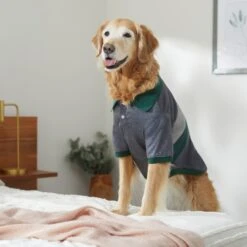 Frisco Green Striped Polo Dog & Cat Shirt -Frisco 315091 PT8. AC SS1800 V1646434389