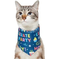 Frisco Celebration Dog & Cat Bandana -Frisco 315133 PT2. AC SS1800 V1646439780