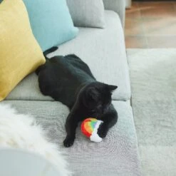 Frisco Pride Rainbow Plush Cat Toy With Silvervine 7 Frisco Pride Rainbow Plush Cat Toy With Silvervine -Frisco 331690 PT3. AC SS1800 V1647355685