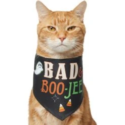 Frisco Bad & Boo-Jee Dog & Cat Costume Bandana 12 Frisco Bad & Boo-Jee Dog & Cat Costume Bandana -Frisco 334807 PT2. AC SS1800 V1659034006