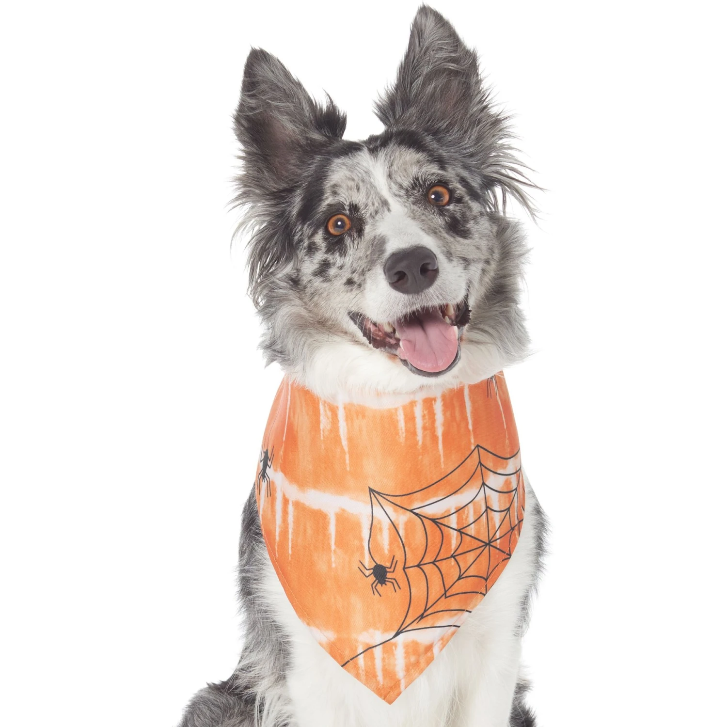 Frisco Orange Spiderweb Dog & Cat Costume Bandana 3 Frisco Orange Spiderweb Dog & Cat Costume Bandana