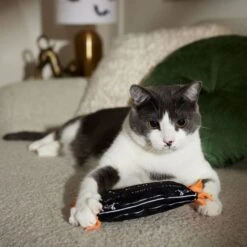 Frisco Halloween A-Paw-Thecary Kicker Plush Cat Toy With Catnip -Frisco 344000 PT3. AC SS1800 V1657657029