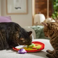 Frisco Halloween Spooky Pizza Interactive Plush Cat Toy With Catnip 8 Frisco Halloween Spooky Pizza Interactive Plush Cat Toy With Catnip -Frisco 344066 PT3. AC SS1800 V1657657031