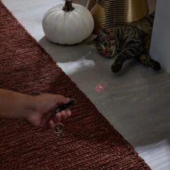 Frisco Halloween Skull Laser Cat Toy -Frisco 344068 PT3. AC SS1800 V1659279988