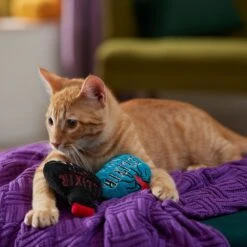 Frisco Halloween Elixirs Plush Cat Toy With Catnip 8 Frisco Halloween Elixirs Plush Cat Toy With Catnip -Frisco 344070 PT3. AC SS1800 V1657657033