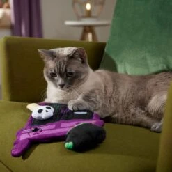 Frisco Halloween Magical Wardrobe Interactive Plush Cat Toy With Catnip -Frisco 344078 PT3. AC SS1800 V1657657033