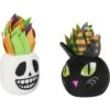 Frisco Halloween Succulents Plush Cat Toy With Catnip, 2 Count 1 Frisco Halloween Succulents Plush Cat Toy With Catnip, 2 Count -Frisco 344082 MAIN. AC SS1800 V1657657033