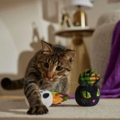 Frisco Halloween Succulents Plush Cat Toy With Catnip, 2 Count 8 Frisco Halloween Succulents Plush Cat Toy With Catnip, 2 Count -Frisco 344082 PT3. AC SS1800 V1657657035