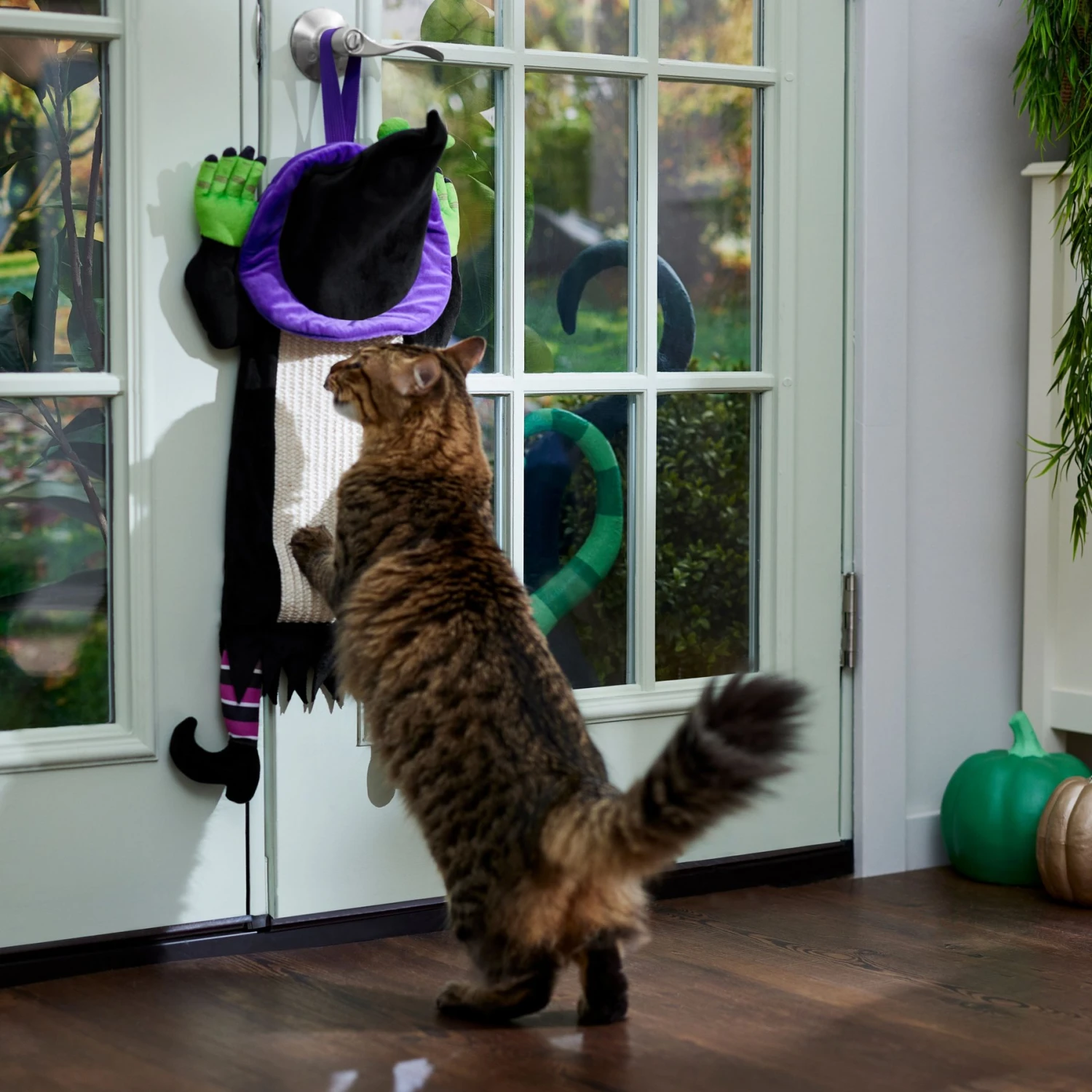 Frisco Halloween Witch Doorknob Hanger Cat Toy With Catnip 6 Frisco Halloween Witch Doorknob Hanger Cat Toy With Catnip - Image 4