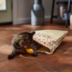 Frisco Fall Leaf Cat Sack Cat Toy With Catnip 10 Frisco Fall Leaf Cat Sack Cat Toy With Catnip -Frisco 344184 PT3. AC SS1800 V1659023183