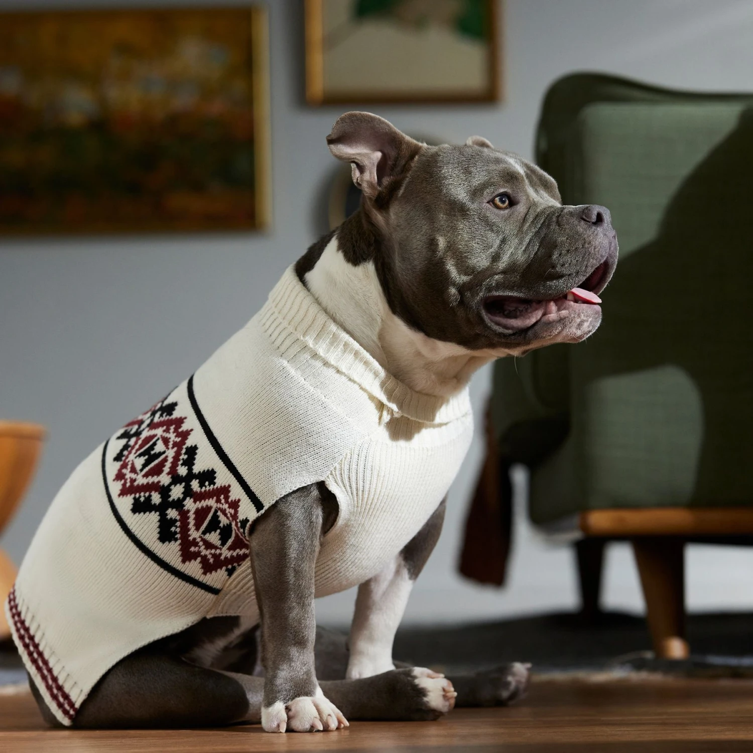Frisco Geometric Pattern Dog & Cat Sweater 9 Frisco Geometric Pattern Dog & Cat Sweater - Image 7