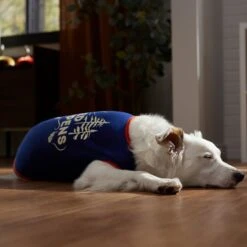 Frisco Shed Happens Dog & Cat T-Shirt 14 Frisco Shed Happens Dog & Cat T-Shirt -Frisco 353698 PT7. AC SS1800 V1660749629