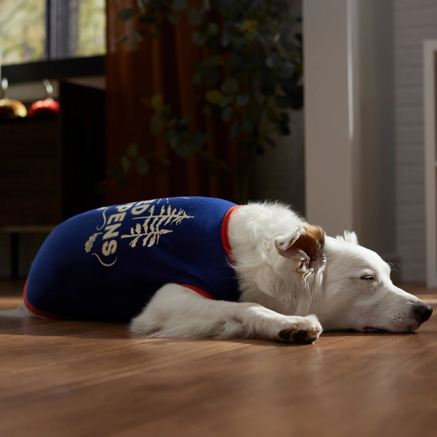 Frisco Shed Happens Dog & Cat T-Shirt 8 Frisco Shed Happens Dog & Cat T-Shirt - Image 6