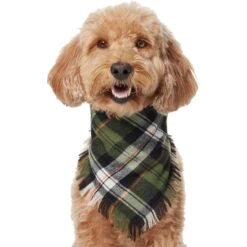 Frisco Plaid Fringe Dog & Cat Bandana -Frisco 353769 PT2. AC SS1800 V1659010812