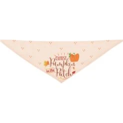 Frisco Cutest Pumpkin In The Patch Dog & Cat Bandana 15 Frisco Cutest Pumpkin In The Patch Dog & Cat Bandana -Frisco 353777 PT5. AC SS1800 V1659725687