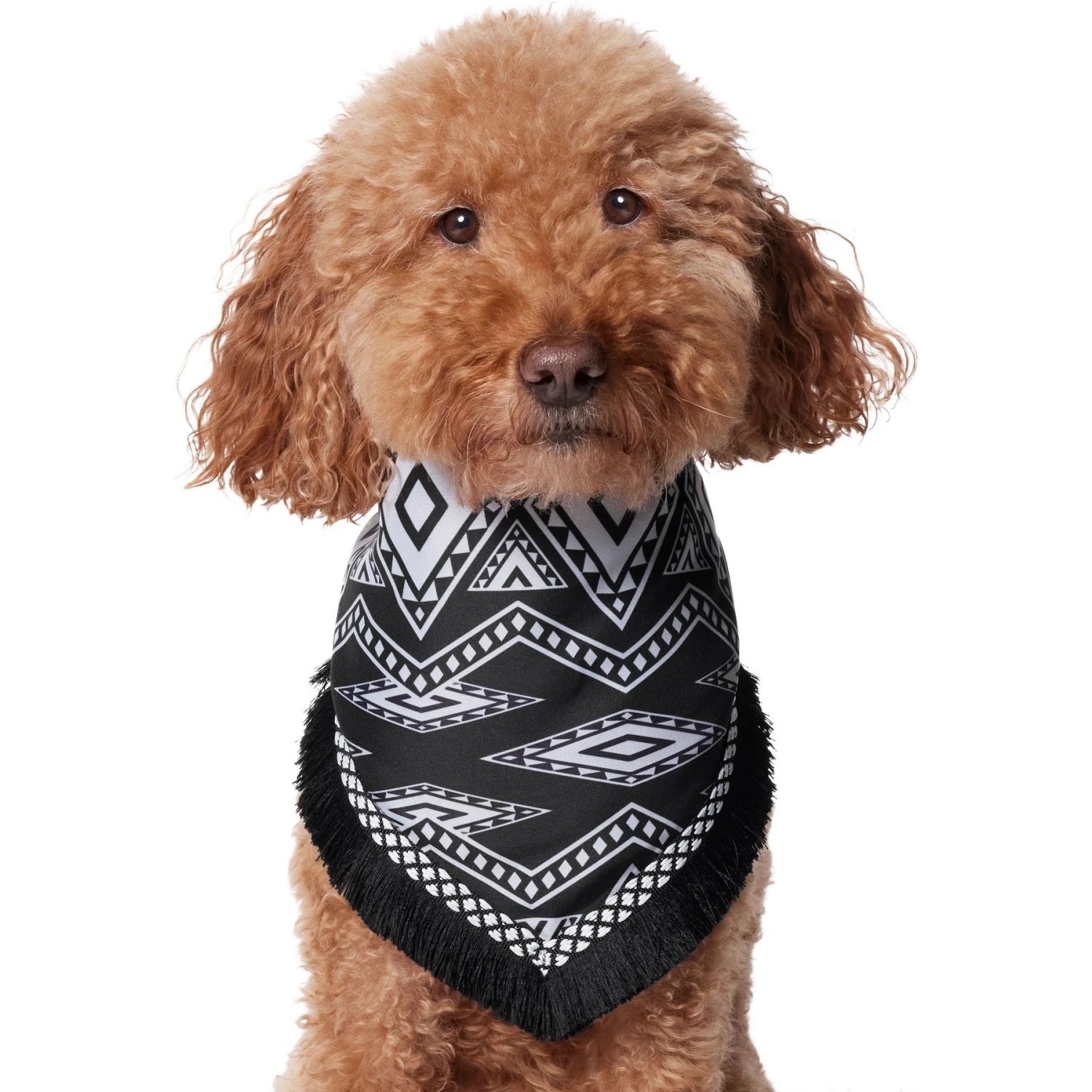 Frisco Southwest Fringe Dog & Cat Bandana 5 Frisco Southwest Fringe Dog & Cat Bandana - Image 3