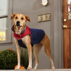 Frisco Mediumweight Cubed Dog & Cat Coat -Frisco 353917 PT7. AC SS1800 V1660750073