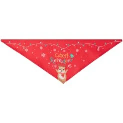 Frisco Cutest Reindeer Of All Dog & Cat Bandana -Frisco 357931 PT5. AC SS1800 V1660756046