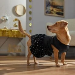 Frisco Kiss Me At Midnight Dog & Cat Dress -Frisco 358044 PT7. AC SS1800 V1661799831