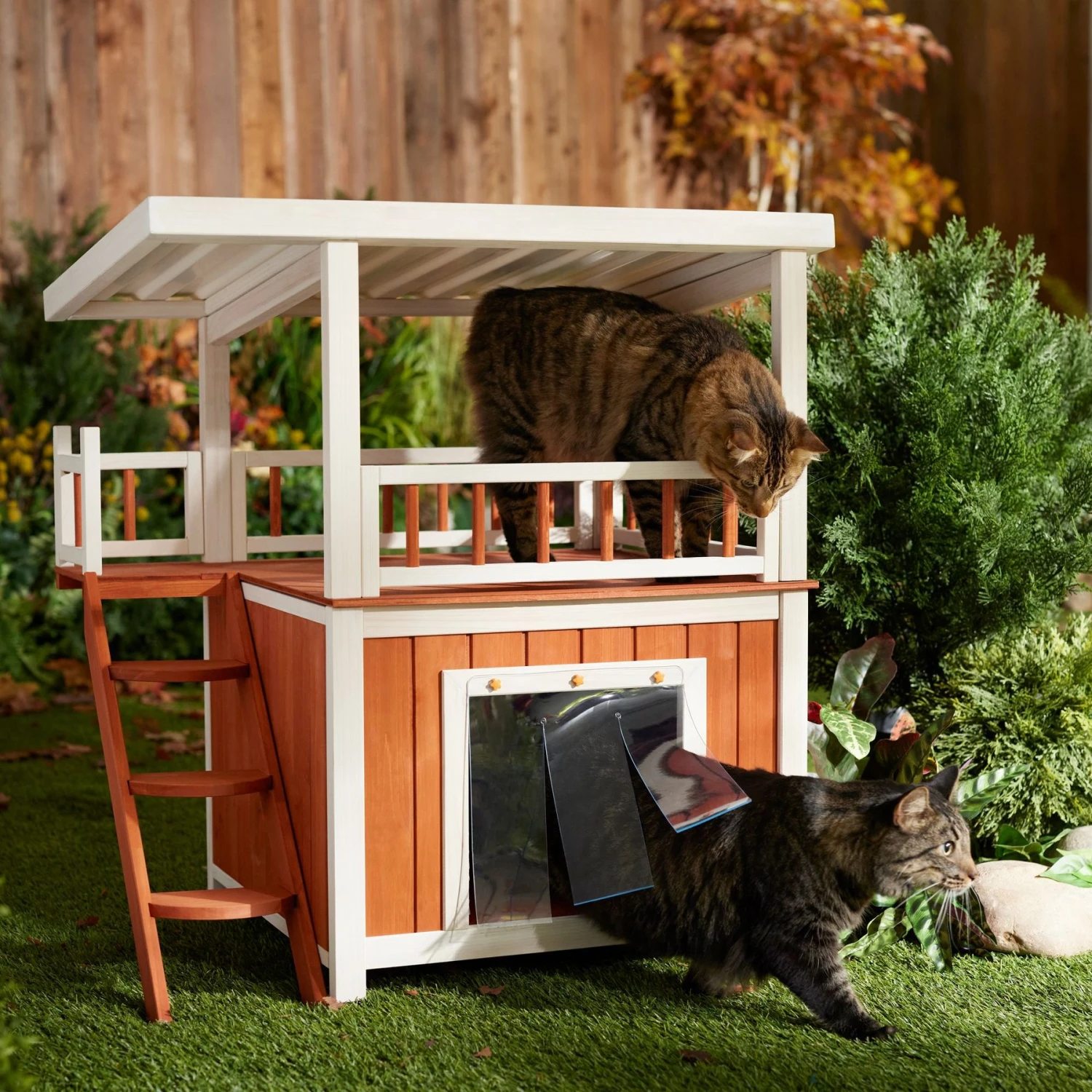 Frisco Outdoor Wooden Cat House With Balcony & Step Ladder 3 Frisco Outdoor Wooden Cat House With Balcony & Step Ladder