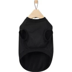 Frisco Birthday Vibe Dog & Cat T-Shirt -Frisco 368790 PT5. AC SS1800 V1664992108