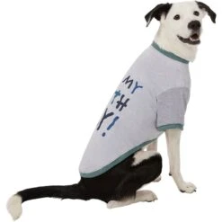 Frisco It's My Birth Day Dog & Cat T-Shirt 12 Frisco It's My Birth Day Dog & Cat T-Shirt -Frisco 368808 PT4. AC SS1800 V1669101517