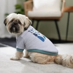 Frisco It's My Birth Day Dog & Cat T-Shirt 14 Frisco It's My Birth Day Dog & Cat T-Shirt -Frisco 368808 PT7. AC SS1800 V1664992107