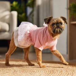Frisco Tulle Hearts Dog & Cat Dress -Frisco 371070 PT8. AC SS1800 V1700690505