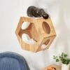 Frisco Hexagon Wall Mounted Cat Wall Shelf -Frisco 373445 MAIN. AC SS1800 V1673014106