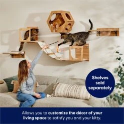 Frisco Hexagon Wall Mounted Cat Wall Shelf 10 Frisco Hexagon Wall Mounted Cat Wall Shelf -Frisco 373445 PT3. AC SS1800 V1675692702