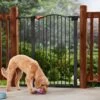Frisco Outdoor Steel Arch Extra Tall Auto-Close Dog Gate -Frisco 507102 MAIN. AC SS1800 V1668736255
