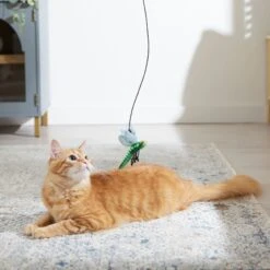 Frisco Leaf & Dragonfly Interchangeable Teaser Wand Cat Toy With Catnip -Frisco 525982 PT3. AC SS1800 V1669148131