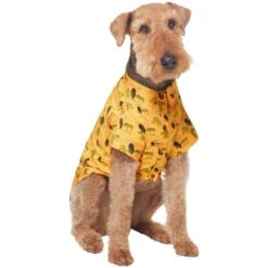 Frisco Safari Zebra Dog & Cat Shirt -Frisco 555566 PT3. AC SS1800 V1675103172