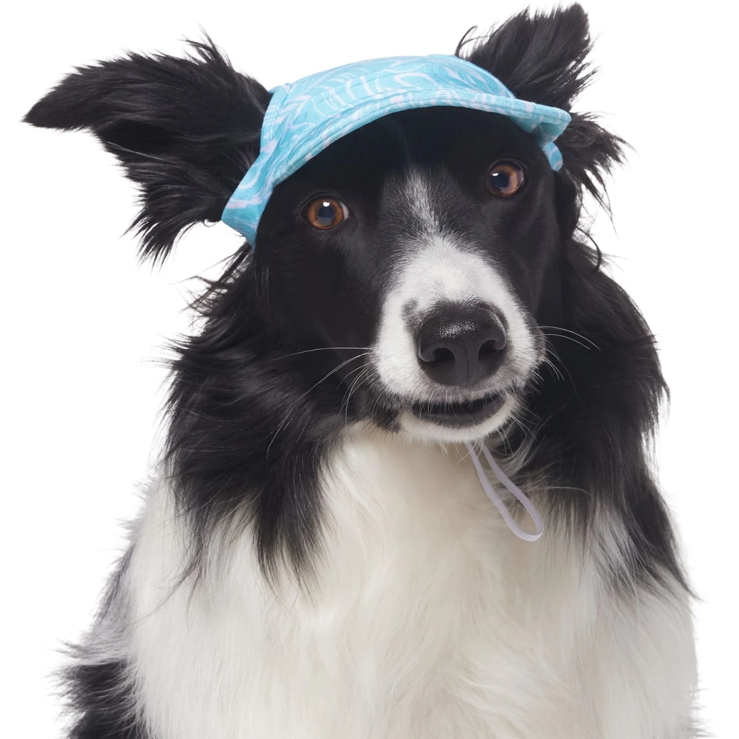 Frisco Blue Ocean Waves 30 + UPF Dog & Cat Beach Cap 6 Frisco Blue Ocean Waves 30 + UPF Dog & Cat Beach Cap - Image 4