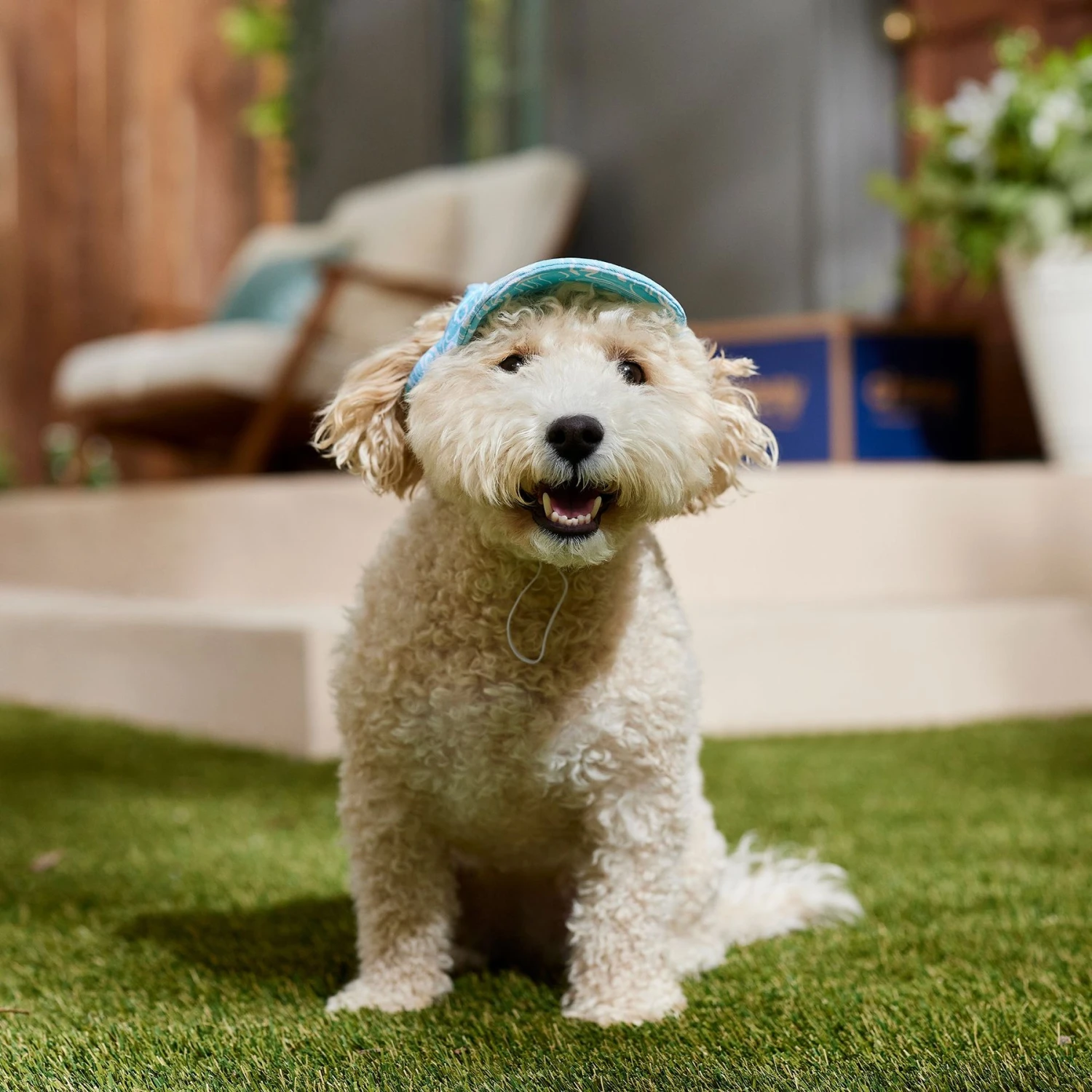 Frisco Blue Ocean Waves 30 + UPF Dog & Cat Beach Cap 8 Frisco Blue Ocean Waves 30 + UPF Dog & Cat Beach Cap - Image 6