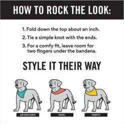 Frisco Gingerbread Treats Personalized Dog & Cat Bandana 13 Frisco Gingerbread Treats Personalized Dog & Cat Bandana -Frisco 564502 PT2. AC SS1800 V1660250859