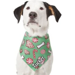 Frisco Gingerbread Treats Personalized Dog & Cat Bandana 17 Frisco Gingerbread Treats Personalized Dog & Cat Bandana -Frisco 564502 PT6. AC SS1800 V1660405305
