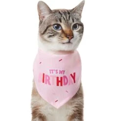 Frisco Dog & Cat Birthday Bandana 12 Frisco Dog & Cat Birthday Bandana -Frisco 608206 PT2. AC SS1800 V1676644511