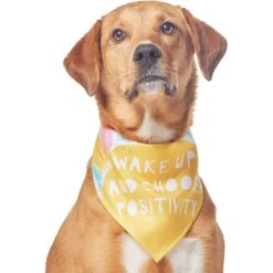 Frisco Wake Up Positive Dog & Cat Bandana -Frisco 608230 PT3. AC SS1800 V1676643831