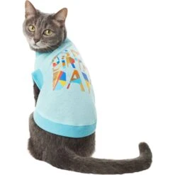 Frisco Birthday Celebration Dog & Cat T-Shirt -Frisco 608318 PT2. AC SS1800 V1676643772