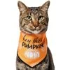 Frisco Hey There Pumpkin Dog & Cat Bandana 2 Frisco Hey There Pumpkin Dog & Cat Bandana -Frisco 706374 MAIN. AC SS1800 V1689351106
