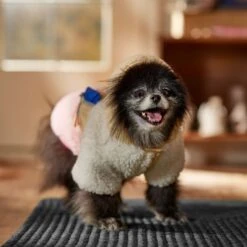 Frisco Colorblock Fleece Dog & Cat Hoodie W/ Pocket -Frisco 718278 PT7. AC SS1800 V1692375977