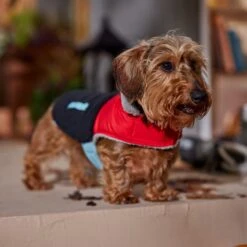 Frisco Medium Weight Retro Colorblock Mixed Media Dog & Cat Coat -Frisco 719462 PT7. AC SS1800 V1692379031