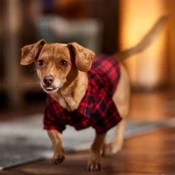 Frisco Red Tartan Plaid Dog & Cat Flannel Shirt -Frisco 720790 PT7. AC SS1800 V1693401090