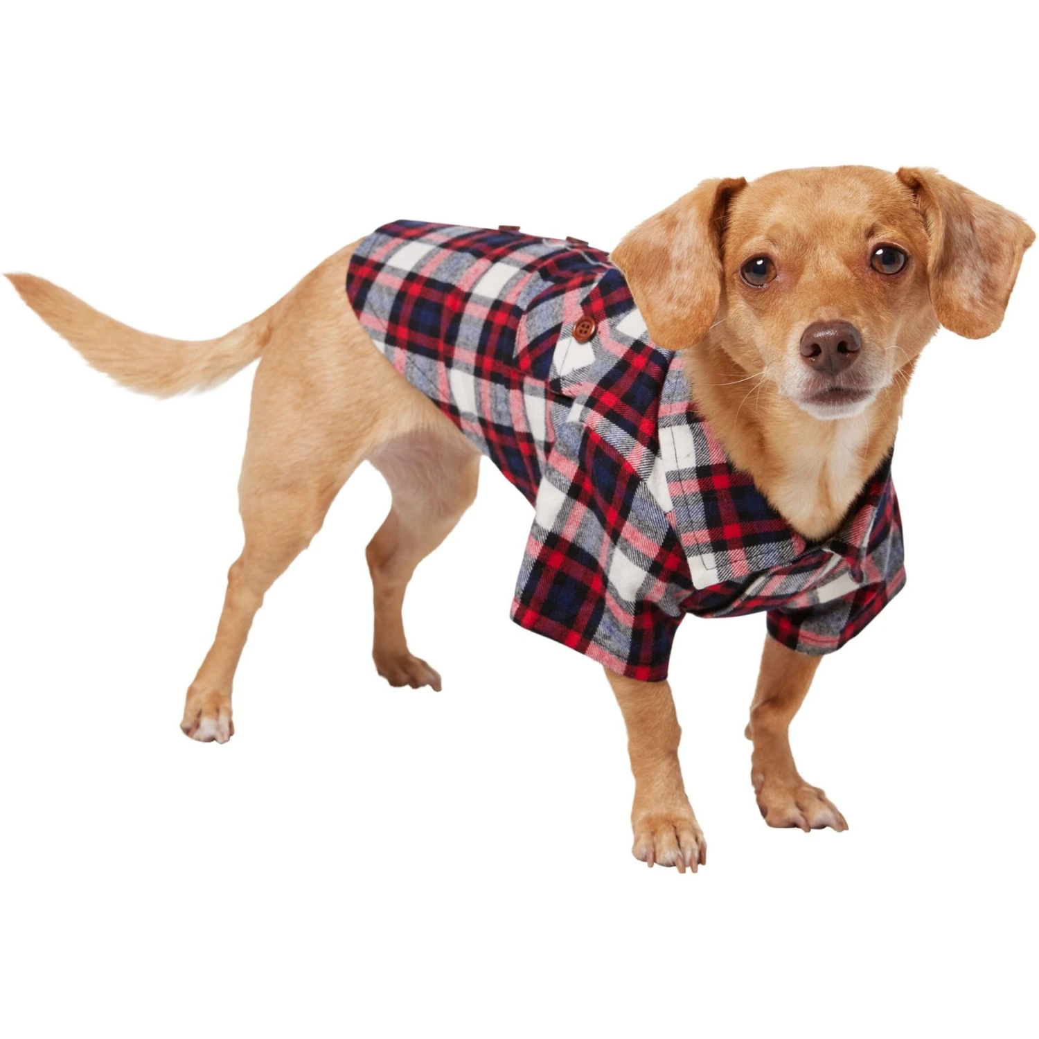 Frisco Red & Blue Plaid Dog & Cat Flannel Shirt 5 Frisco Red & Blue Plaid Dog & Cat Flannel Shirt - Image 3